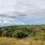  Land for sale in Sibonga, Cebu, Sibonga