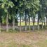  Terreno (Parcela) en venta en Binan City, Calabarzon, Binan City