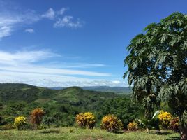  Terreno (Parcela) en venta en San Martín, La Banda de Shilcayo, San Martín, San Martín