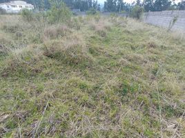  Land for sale in Conocoto, Pichincha, Conocoto