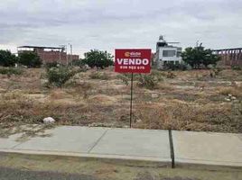  Grundstück zu verkaufen in Castilla, Piura, Castilla, Piura, Piura
