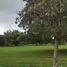  Land for sale in Calamba City, Calabarzon, Calamba City