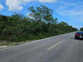  Terreno (Parcela) en venta en Progreso, Yucatán, Progreso