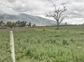  Terreno (Parcela) en venta en Unamuncho, Ambato, Unamuncho