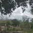  Grundstück zu verkaufen in Sinanche, Yucatan, Sinanche