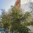 2 Habitación Apartamento en venta en Cuauhtemoc, Ciudad de México, Cuauhtemoc