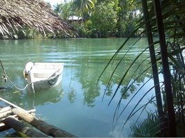  Land for sale in Bohol, Central Visayas, Sevilla, Bohol