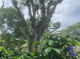  Terreno (Parcela) en venta en Xico, Veracruz, Xico