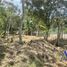  Terreno (Parcela) en venta en Xico, Veracruz, Xico