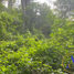  Terreno (Parcela) en venta en Xico, Veracruz, Xico