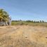  Land for sale in Armeria, Colima, Armeria