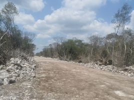  Terreno (Parcela) en venta en Progreso, Yucatán, Progreso