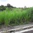  Grundstück zu verkaufen in Antipolo City, Calabarzon, Antipolo City, Rizal