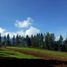  Land for sale in Manolo Fortich, Northern Mindanao, Manolo Fortich, Bukidnon