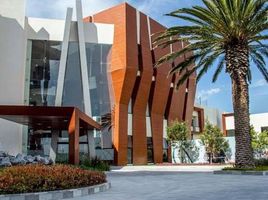 3 Bedroom Apartment for rent in Hidalgo, San Agustin Tlaxiaca, Hidalgo