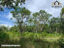  Land for sale in Panglao, Bohol, Panglao