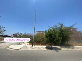  Terrain for sale in Piura, Castilla, Piura, Piura