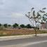  Terrain for sale in Piura, Castilla, Piura, Piura