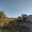  Land for sale in Jesus Maria, Aguascalientes, Jesus Maria