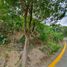  토지을(를) Talisay City, 세부에서 판매합니다., Talisay City