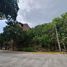  토지을(를) Talisay City, 세부에서 판매합니다., Talisay City