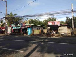  Grundstück zu verkaufen in Laguna, Calabarzon, Victoria