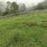  Land for sale in Manizales, Caldas, Manizales