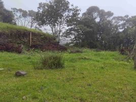  Land for sale in Caldas, Manizales, Caldas