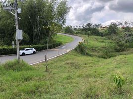  Land for sale in Pereira, Risaralda, Pereira