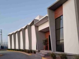 1 Habitación Apartamento en alquiler en Chihuahua, Juarez, Chihuahua