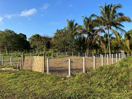  Land for sale in Cavite, Calabarzon, Alfonso, Cavite