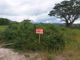  Terreno (Parcela) en venta en Tulua, Valle Del Cauca, Tulua