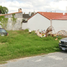  Land for sale in Miguel Aleman, Tamaulipas, Miguel Aleman
