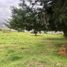  Land for sale in San Miguel De Ibarra, Imbabura, San Miguel De Ibarra, Ibarra
