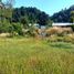  Land for sale in Chile, Cochamo, Llanquihue, Los Lagos, Chile