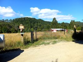  Land for sale in Chile, Cochamo, Llanquihue, Los Lagos, Chile