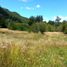  Land for sale in Chile, Cochamo, Llanquihue, Los Lagos, Chile
