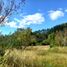  Land for sale in Chile, Cochamo, Llanquihue, Los Lagos, Chile