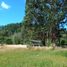  Land for sale in Chile, Cochamo, Llanquihue, Los Lagos, Chile