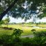  Land for sale in Muntinlupa City, Metro Manila, Muntinlupa City
