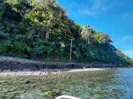  Land for sale in Tingloy, Batangas, Tingloy