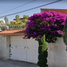Maison 3 chambre à vendre à San Andres Cholula, Puebla, San Andres Cholula