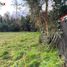 Terreno (Parcela) en venta en Araucanía, Pucón, Cautín, Araucanía