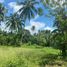  Terreno (Parcela) en venta en San Rafael, Central Luzon, San Rafael, Bulacan, Central Luzon