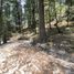  Land for sale in Mineral Del Chico, Hidalgo, Mineral Del Chico