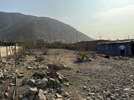  Land for sale in Pachacamac, Lima, Pachacamac