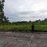  Land for sale in Talisay City, Cebu, Talisay City