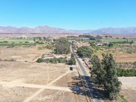  Terreno (Parcela) en venta en Freirina, Huasco, Freirina