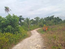  Land for sale in Moalboal, Cebu, Moalboal