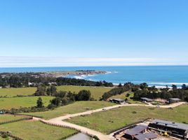  Terreno (Parcela) en venta en Cardenal Caro, Libertador General Bernardo O'Higgins, Pichilemu, Cardenal Caro